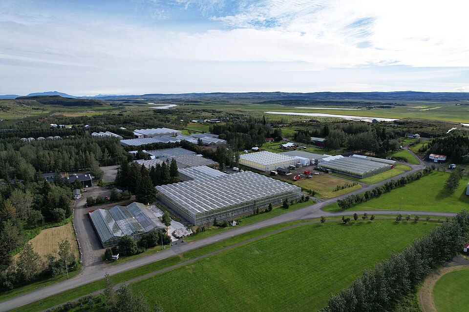 Friðheimar