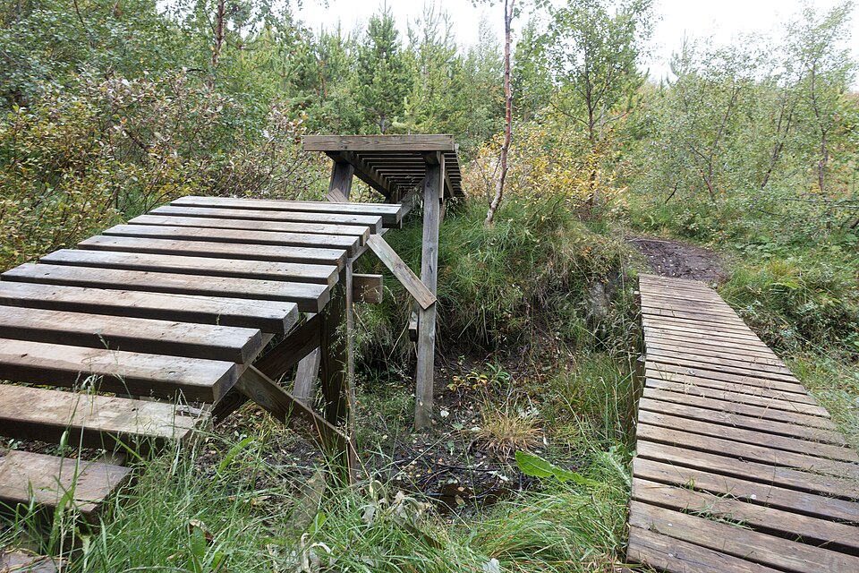 Kjarnaskógur